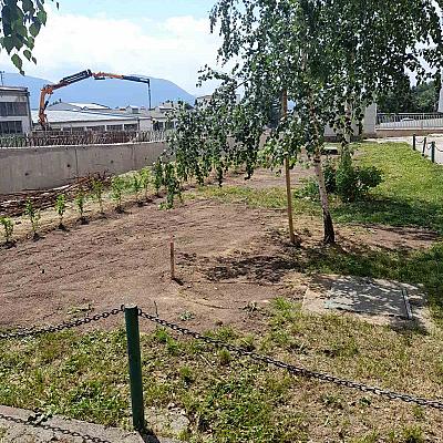 Povodom svjetskog dana zaštite okoliša ZEOS eko-sistem zasadio 68 sadnica u Osnovnoj školi Umihana Čuvidina