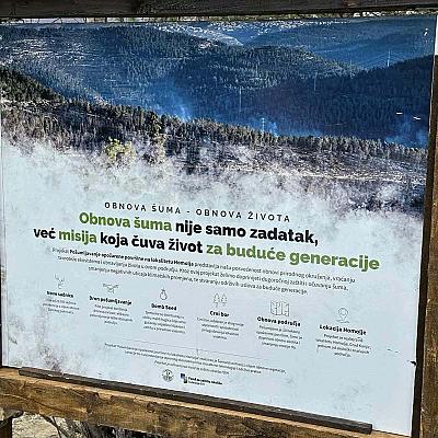 Novih 1.500 sadnica za opožarene površine u Konjicu zahvaljujući ZEOS-u