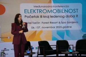 zeos-eko-sistem-konferencija-elektromobilnost (9).jpg