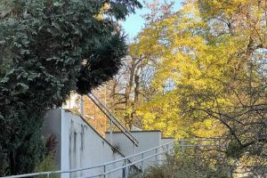 2025-11-05 Neovlašteno pražnjenje kontejnera (3)- optimized 1.jpg