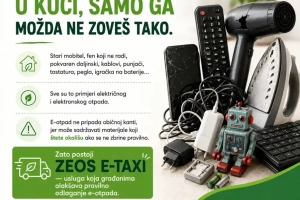 Picture6-opt.webp